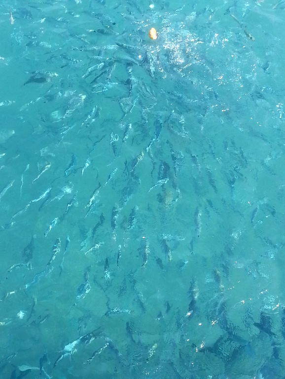 Турляндия 23.05-03.06.2014