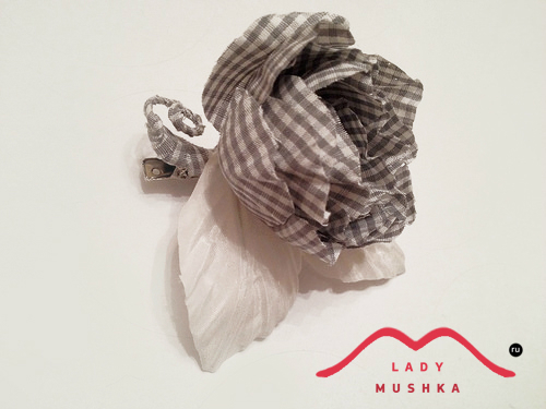 Лeто началось. Расцвeтают цвeточки