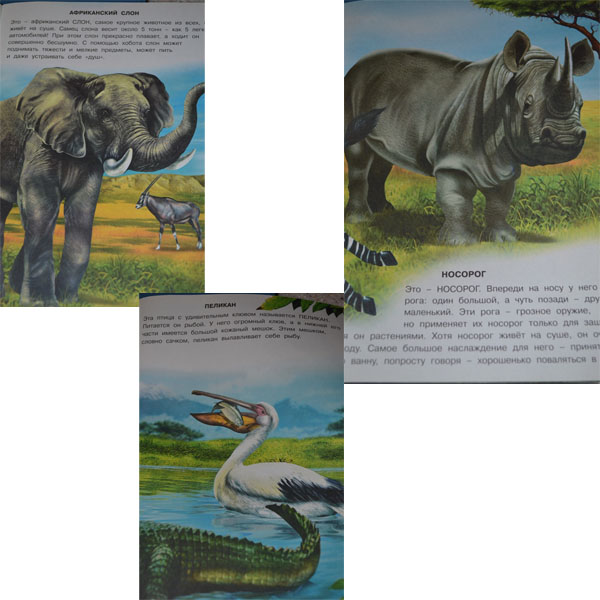 ТН-АФРИКА, День 2 - Путешествие по саванне