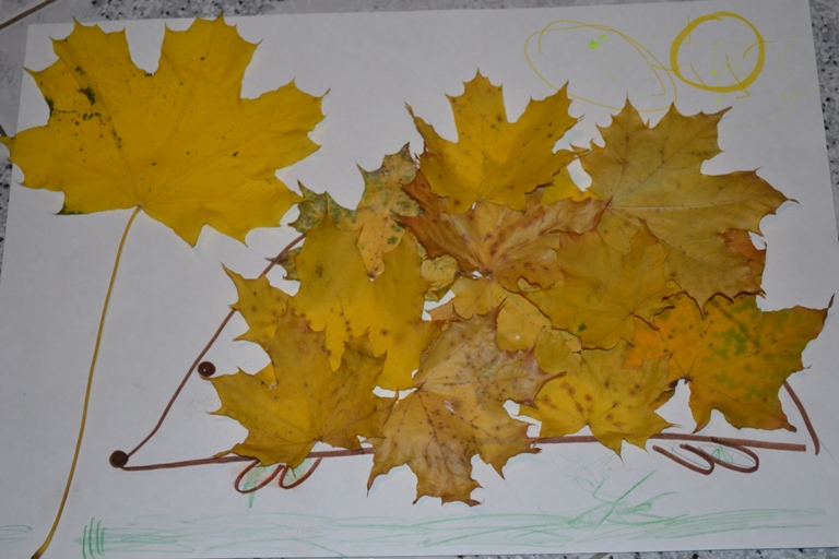 Лес, деревья и чуть-чуть про ежиков