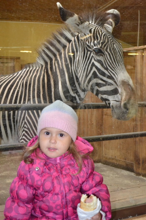Ларец сказок. Осенние сказки.