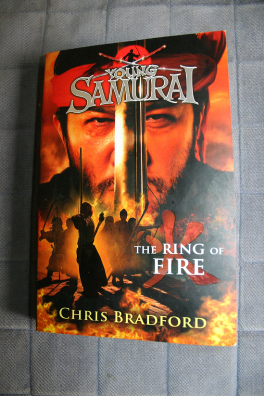 Дневник читателя - Александр - 14 лет 1 месяц - май 2014