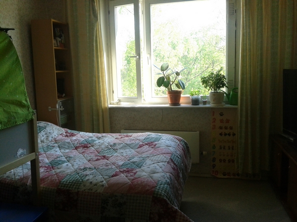 Комната в однокомнатной съемной квартире