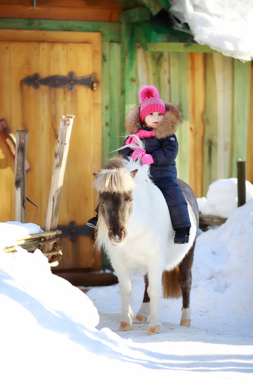 Winter 2012-2013 ) By Olechka )