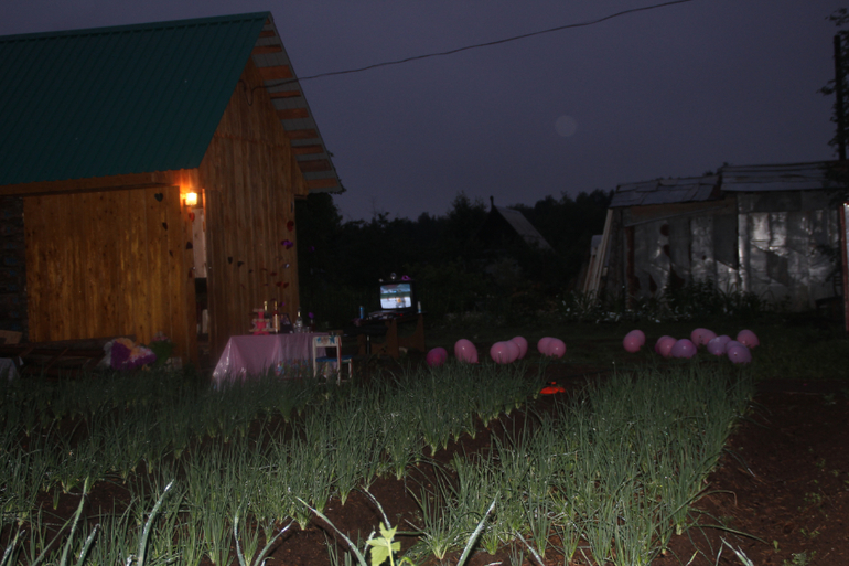 Наша  деревянная свадьба