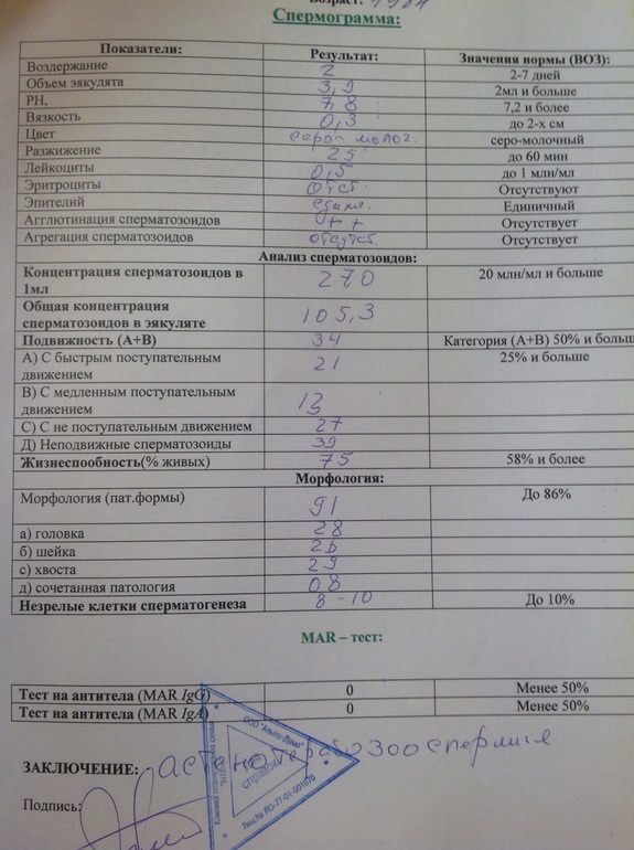 Некрозооспермия. Тератозооспермия спермограмма. Спермограмма нормозооспермия. Спермограмма диагноз тератозооспермия. Астенозооспермия тератозооспермия.
