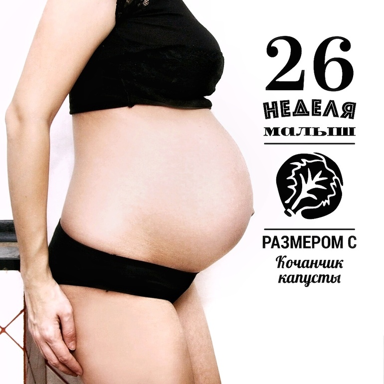 Многоплодная Беременность Фото Живота