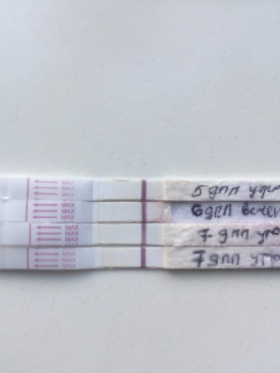 Покажет ли тест положительный при внематочной. Тест на 7дпп крио. 7 ДПП тест. ДПП пятидневок крио. Тест при внематочной.