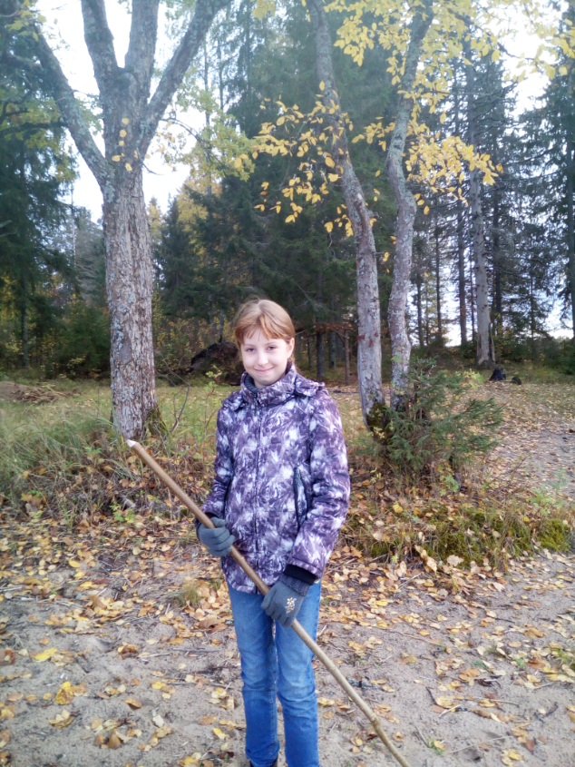 Картинка