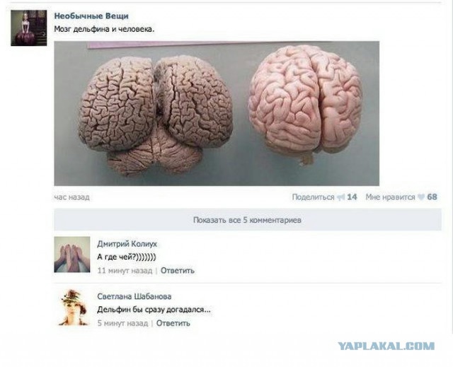 Смешные комментарии (для разгрузки)