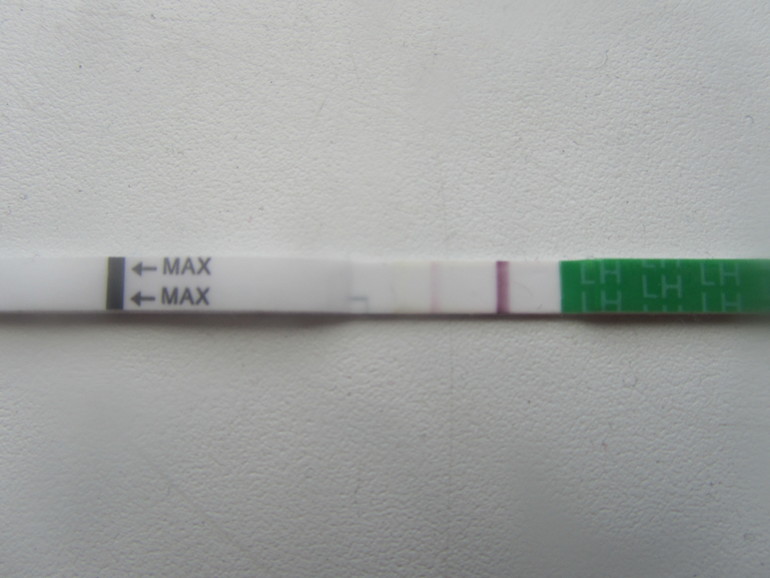 Овуляция.....?