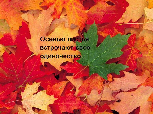 18fa871c16692023dd5680f90af70f92.jpg