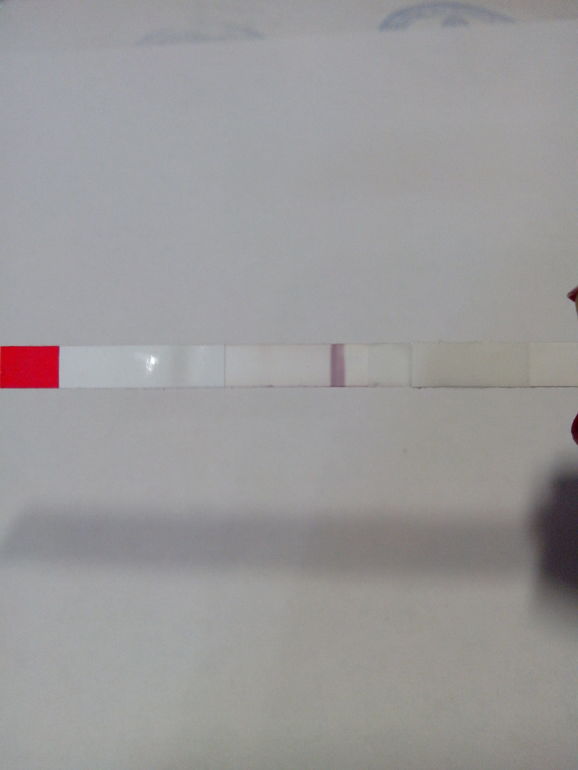 ББ тест..............