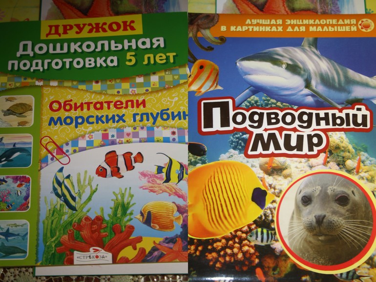 Обитатели морей и океанов.  День 1.