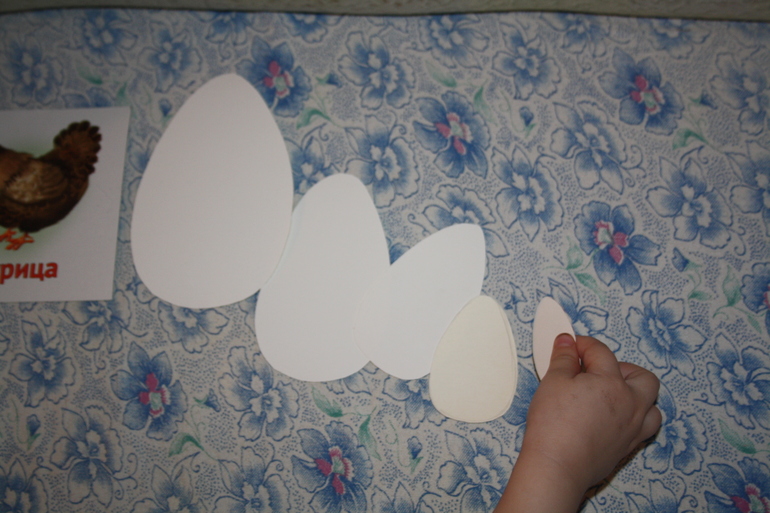 Птицы. 5. Обобщение.