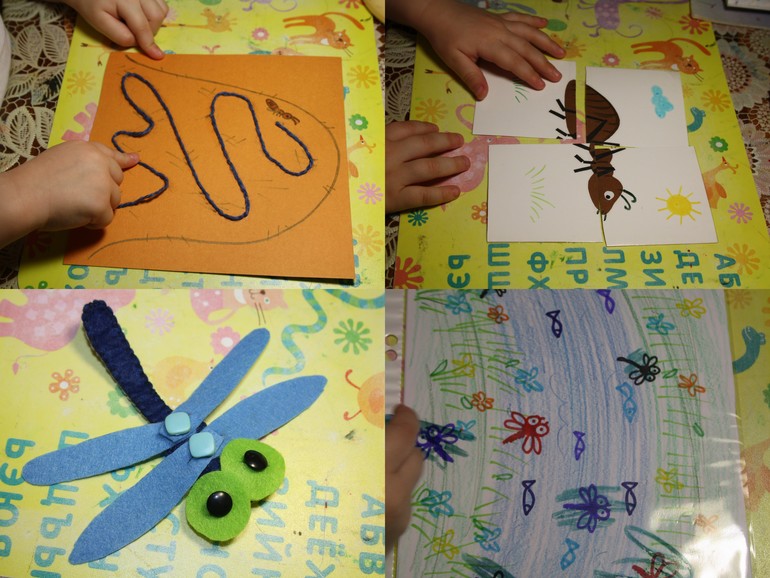 Насекомые. День 3.