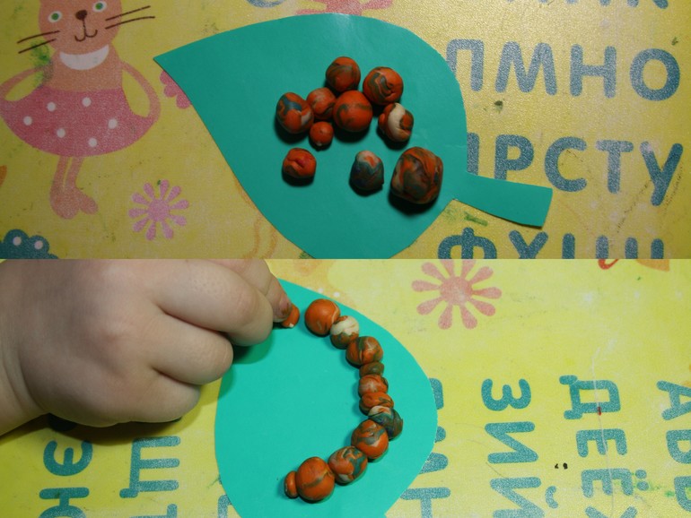 Насекомые. День 1.