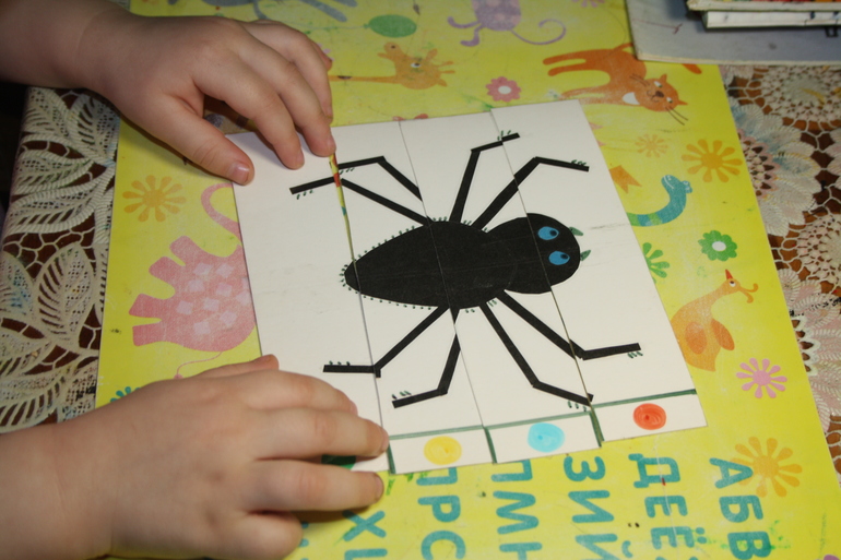 Насекомые. День 2.