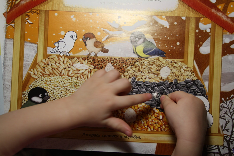 Птицы. 3. Городские.