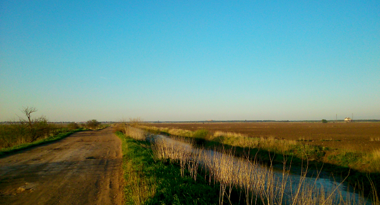 Вдоль Москва реки.