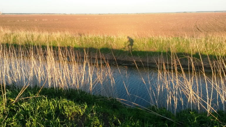 Вдоль Москва реки.