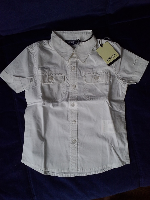 Одежда для мальчика. Zara, adidas, Geox, Esprit