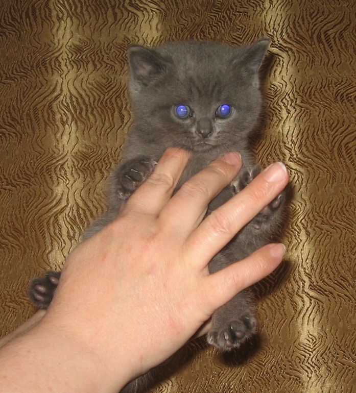 Мини фото сессия, домашняя.