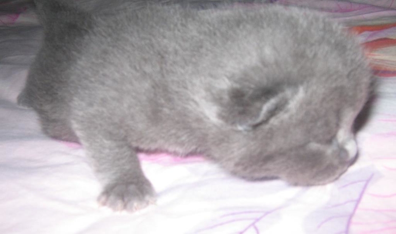 Нам 1 неделя!