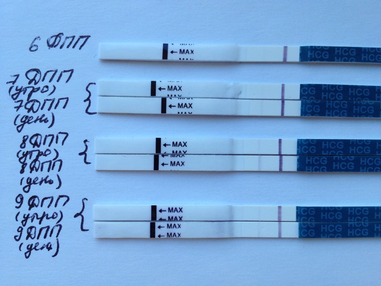 Тесты на беременность после подсадки эмбриона. Тест на беременность на 5 день после переноса эмбрионов. Тест на беременность после переноса эмбрионов 5 по дням. 8 ДПП трехдневок тест. Тест на беременность 5 дней после подсадки.