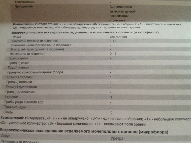 Кокки в мазке: диагностика кокков в мазке, консультация уролога в Москве