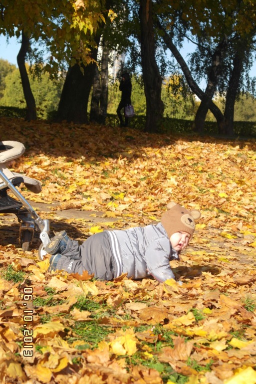 Золотая осень