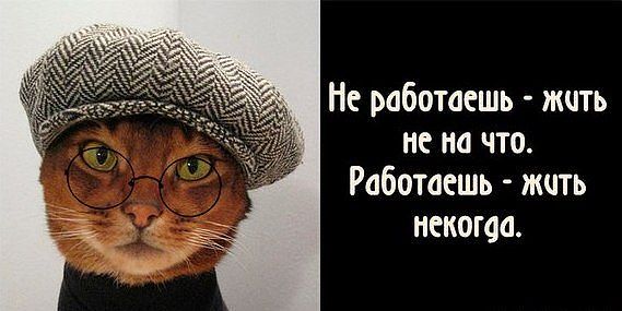 33d0485b43ccd6bc0ed05d23a3af5966.jpg