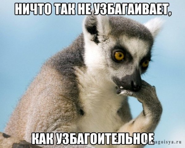 df97cc2124de1bf937d53e6e493f7b6e.jpg