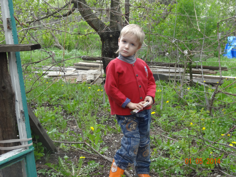 Выходные на даче.