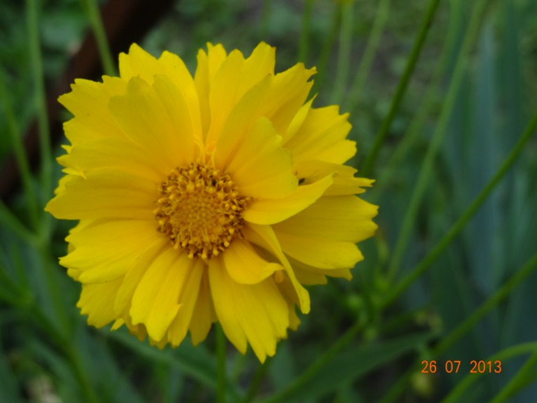 Наш отпуск в Октябрьском Курской обл.