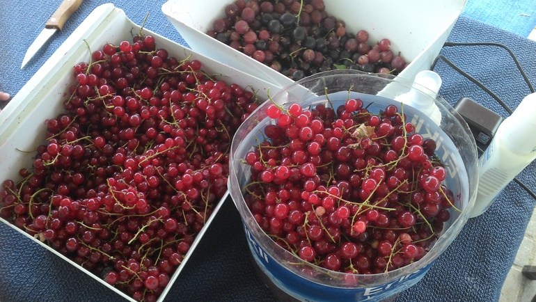 Летний отдых