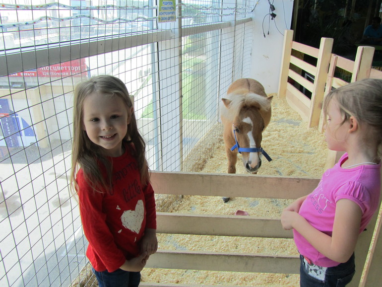 Контактный зоопарк Теплый стан