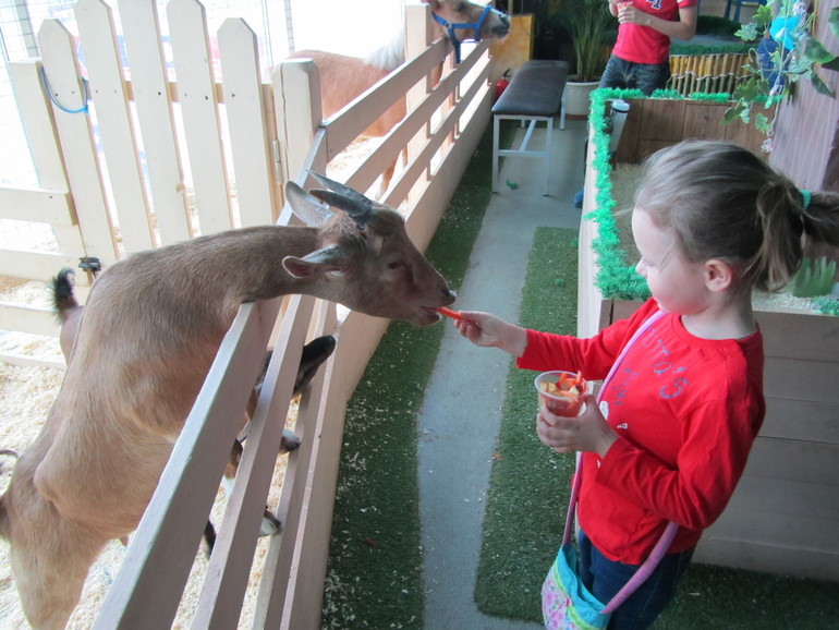 Контактный зоопарк Теплый стан