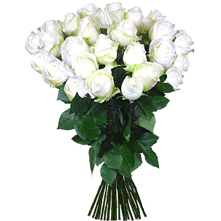1f61f5389fe2ce80f73a79974b805af3.jpg