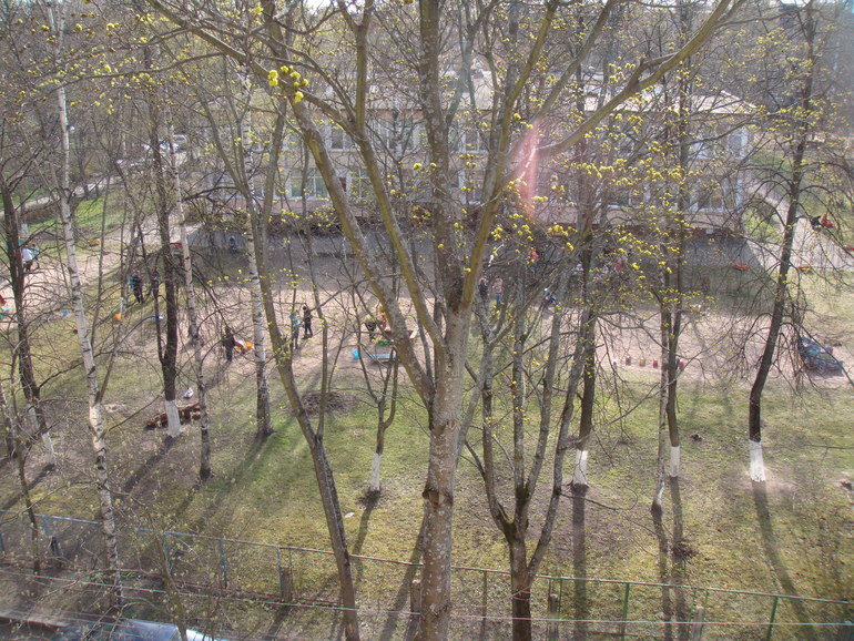 Мама, папа, Вова и бабушка