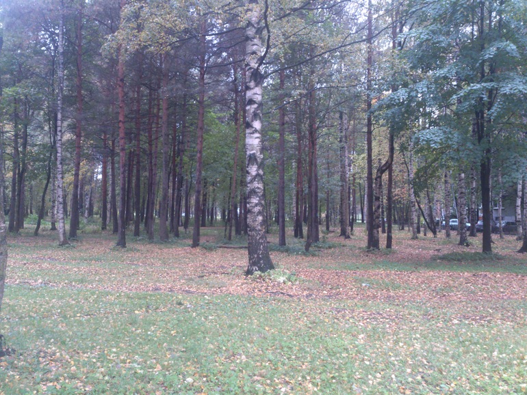 Новости Вовкиной жизни
