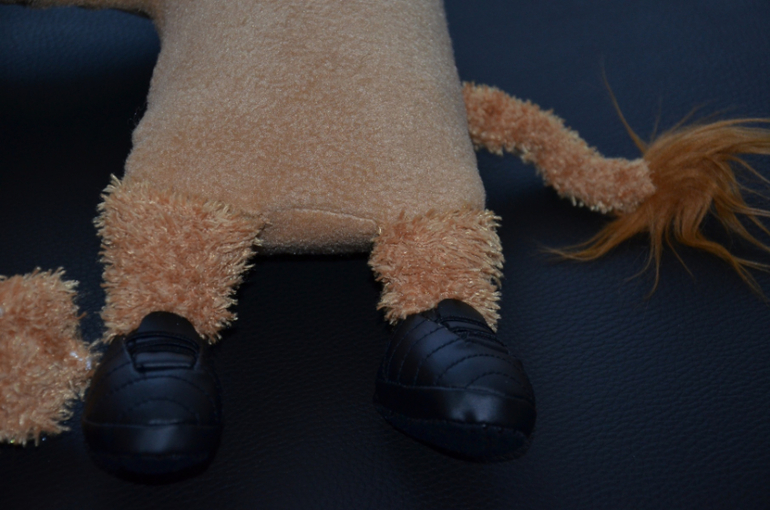 В зоопарке ...