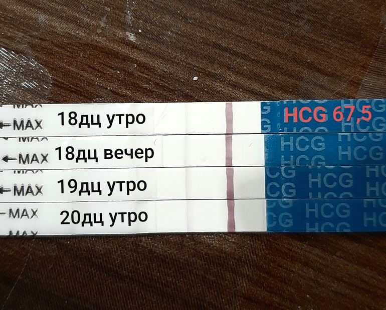 21 день 20. 20 ДЦ тест на беременность. 21 ДЦ тест. Тест на 18 ДЦ. 21 ДЦ тест на беременность.