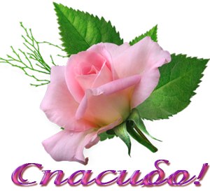 b3ba0cc0f26b4fce0d0b552281b310f5.jpg