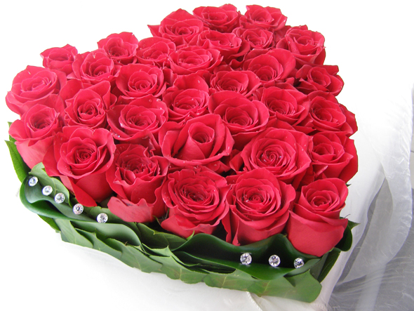 42be138a44db2813645178ebc55d857a.jpg