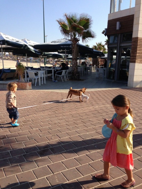 Шабат шалом