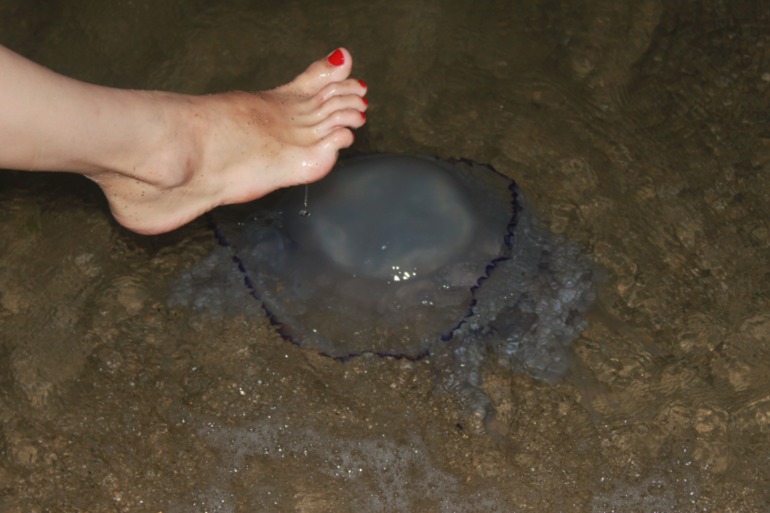 немного о море