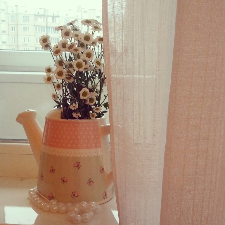 Лето на подоконнике