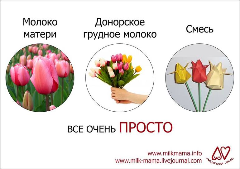 Наглядно)