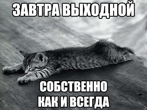 Котокартинки)